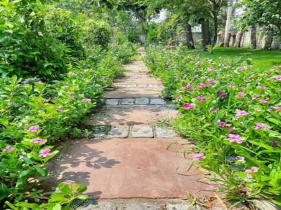 3 BHK Farm House 9680 Sq Yards for Sale in Sohna Palwal Road Gurgaon