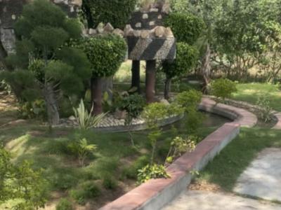 1 RK Farm House 247 Sq Yards for Sale in Bhondsi Gurgaon