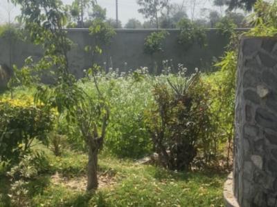 1 RK Farm House 247 Sq Yards for Sale in Bhondsi Gurgaon