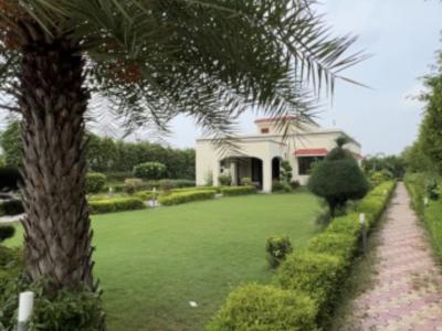 Your Dream Farm House Getaway in Taoru Gurgaon Awaits