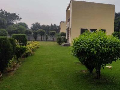 Luxury Farm House in Taoru Gurgaon