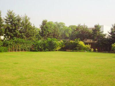 5 Bedroom Farm house 14520 sq yds in Chhatarpur DLF Farms, South Delhi