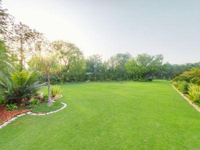 5 Bedroom Farm house 12100 sq yds in Dera Mandi, South Delhi
