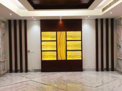 5 Bedroom Farm house 2500 sq yds in Vasant Kunj, South Delhi