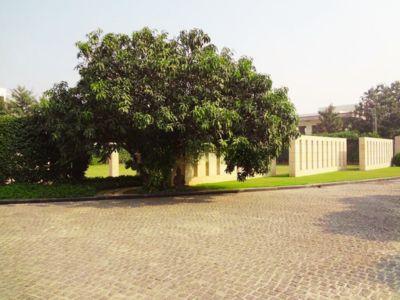 5 Bedroom Farm house 14520 sq yds in Chhatarpur DLF Farms, South Delhi