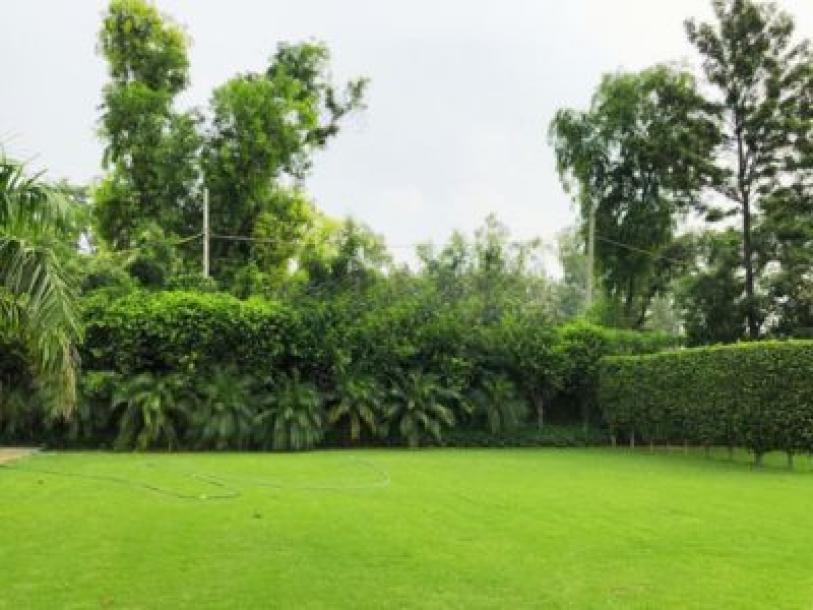 5 Bedroom Farm house 14520 sq yds in Chhatarpur DLF Farms, South Delhi-18