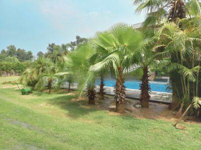 5 Bedroom Farm house 5808 sq yds in Chattarpur, South Delhi