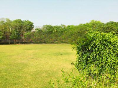 4 Bedroom Farm house 9680 sq yds in Ansal Satbari, South Delhi