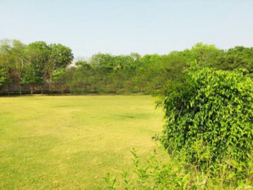 4 Bedroom Farm house 9680 sq yds in Ansal Satbari, South Delhi-1