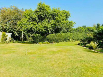 6 Bedroom Farm house 1600 sq yds in Chattarpur Delhi