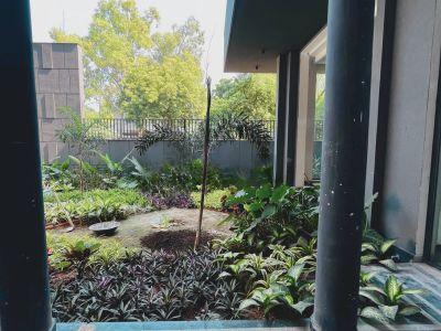 5 Bedroom Farm house 1600 sq yds in Ansal Satbari Delhi