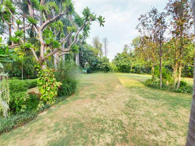 5 Bedroom Farm house 4840 sq yds in Chhatarpur DLF Farms, South Delhi