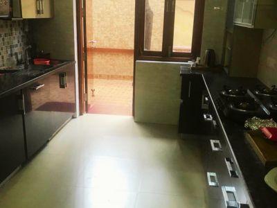 5 Bedroom Farm house 502 sq yds in Chattarpur, South Delhi