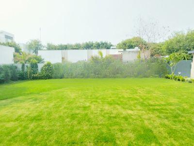 5 Bedroom Farm house 1500 sq-yds in Sultanpur, South Delhi