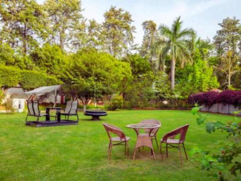 5 Bedroom Farm house 2400 sq yard in Chattarpur, South Delhi-3