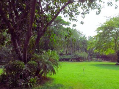 5 Bedroom Farm house 1100 sq yard in Vasant Kunj, South Delhi