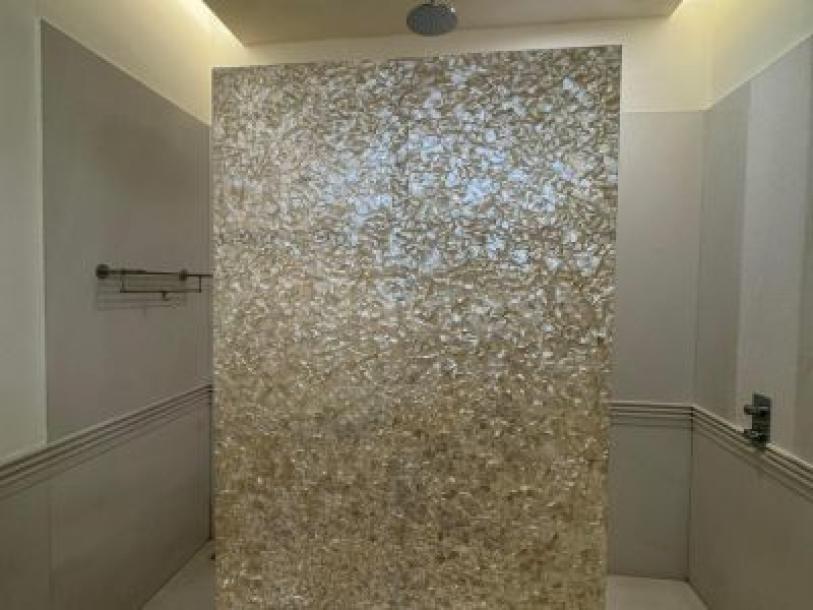 6 Bedroom Farm house 10000 sq yard in Chattarpur, South Delhi-5