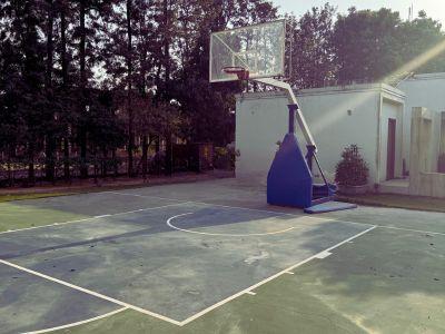 6 Bedroom Farm house 10000 sq yard in Chattarpur, South Delhi